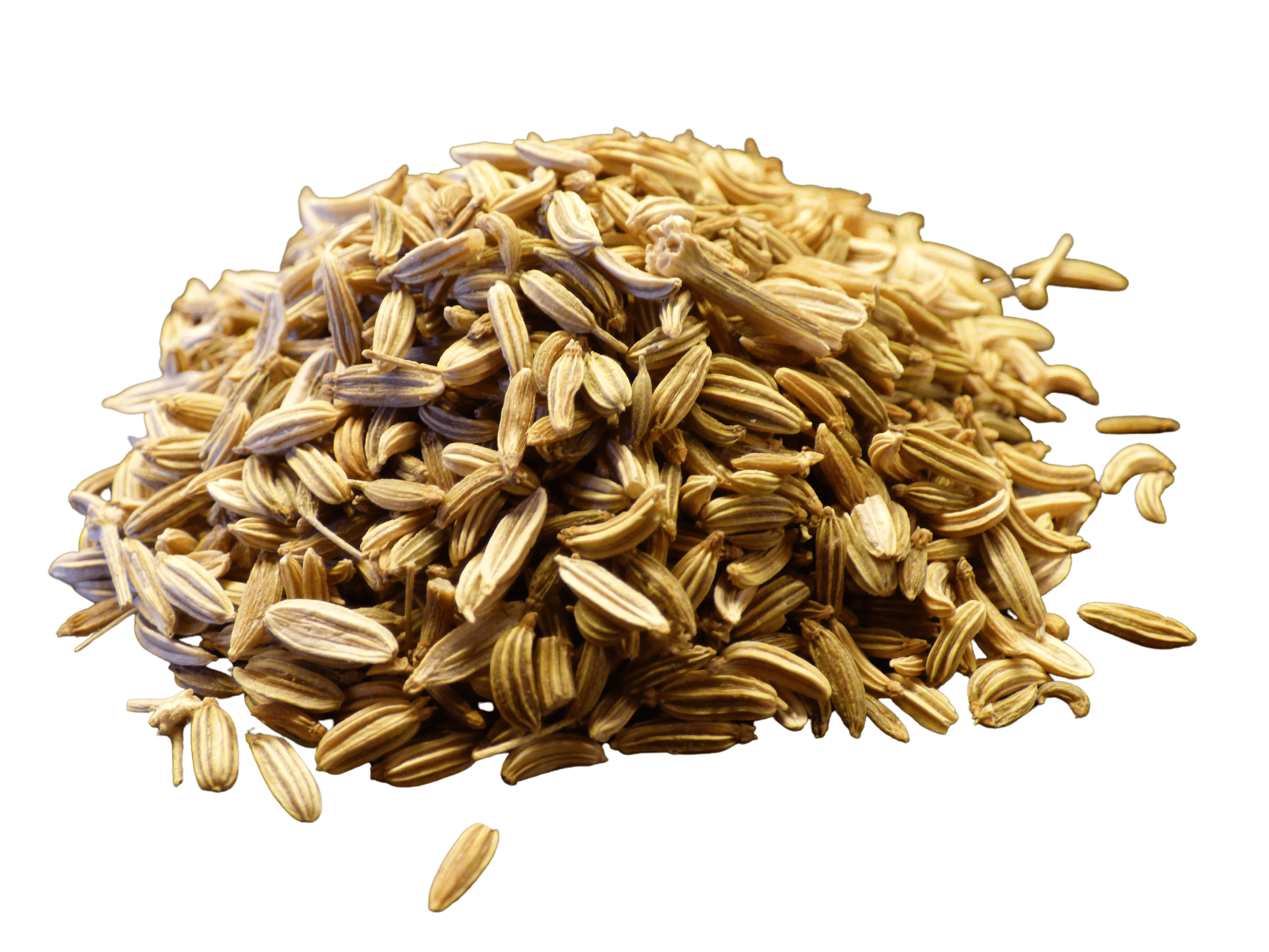 Fennel Seed, Whole
